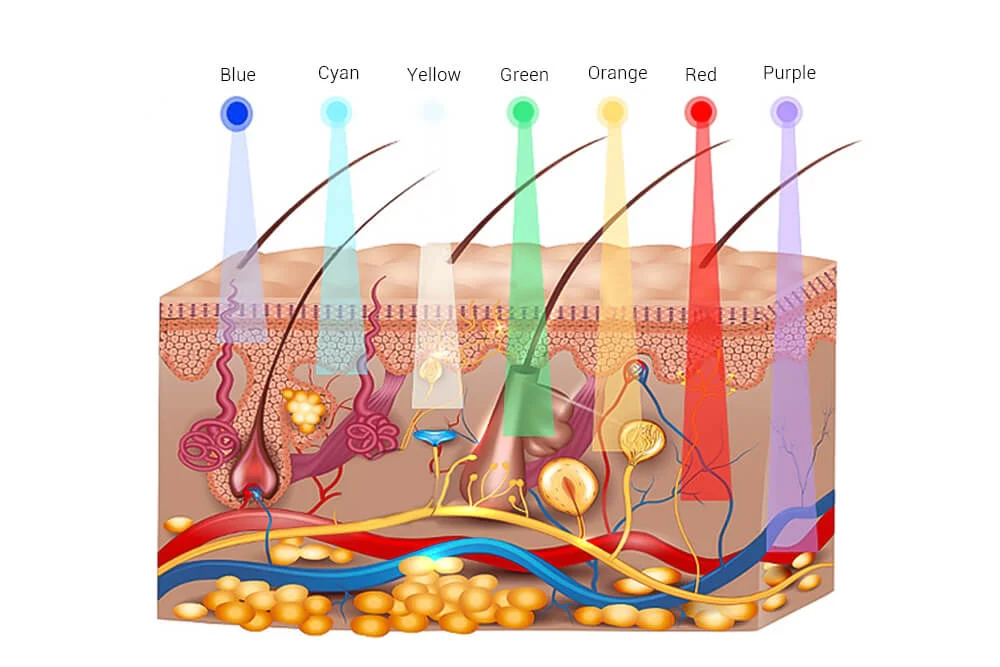 LA SCIENZA DIETRO LA TECNOLOGIA