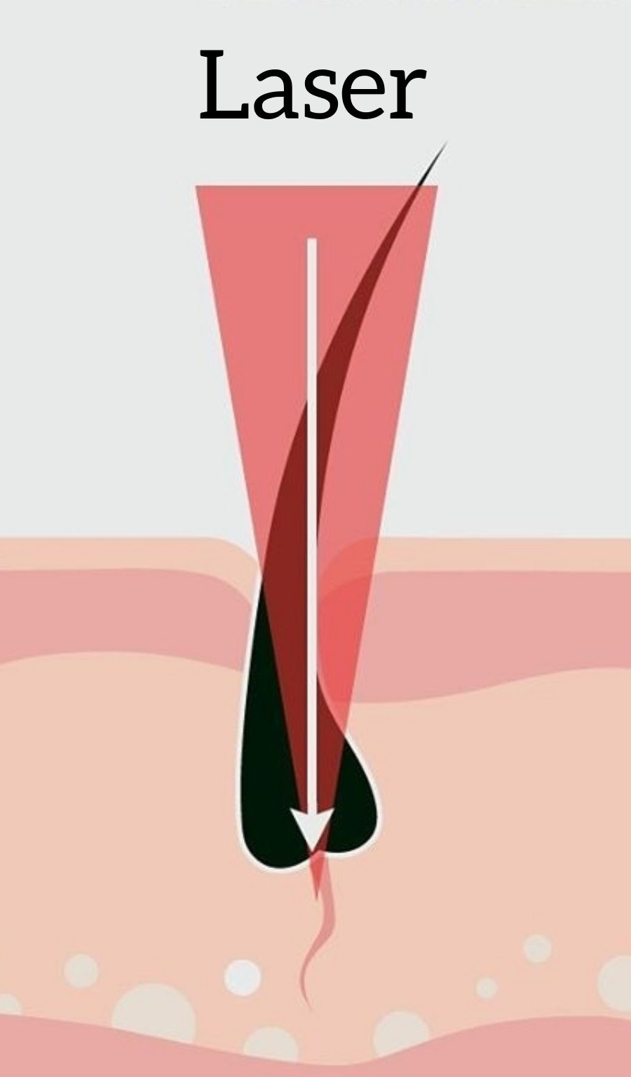 LA SCIENZA DIETRO LA TECNOLOGIA